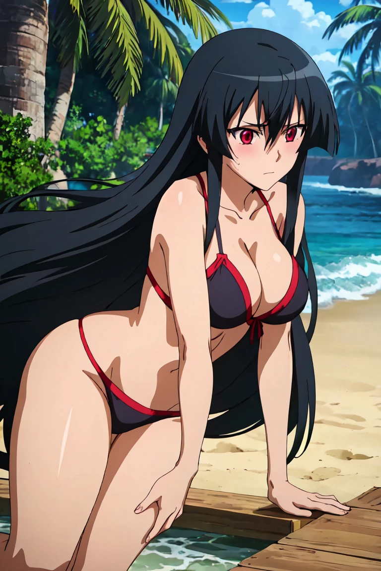 1girl, solo, akame, red eyes, black hair, very long hair, blushing, embarrassed, looking at viewer, bikini, beach, water, coconut trees, best quality, (((masterpiece))), 4k, 8k, high resolution, ultra-detailed, realistic, photorealistic, photo-realistic, HDR, UHD, studio lighting, ultra-fine painting, sharp focus, physically-based rendering, extreme detail description, professional, vivid colors, bokeh