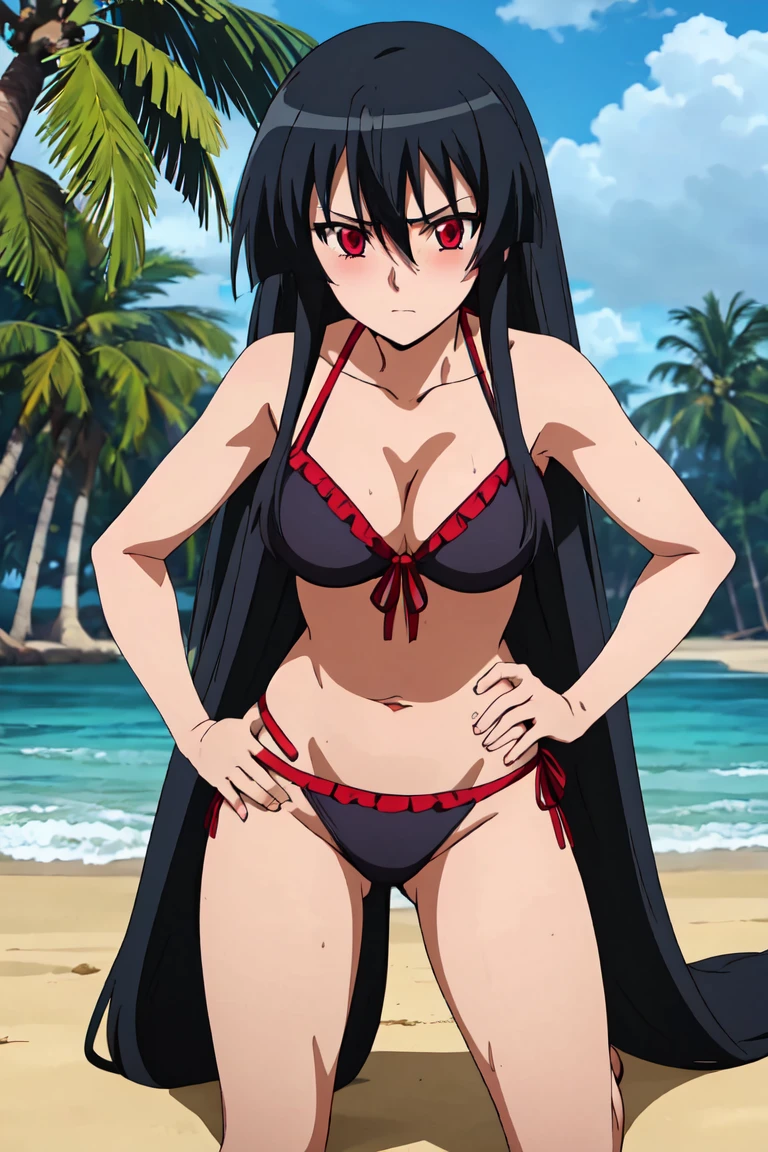 Master piece, best quality,(((1girl,solo))),full_body,akame,red_eyes,black_hair,(((very_long_hair))),hands on hips,blushing,embarrassed,looking at me,bikini,background beach , warter , coconut tree