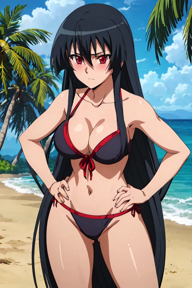 Master piece, best quality,(((1girl,solo))),full_body,akame,red_eyes,black_hair,(((very_long_hair))),hands on hips,sexy poes,blushing,embarrassed,looking at me,bikini,background beach , warter , coconut tree