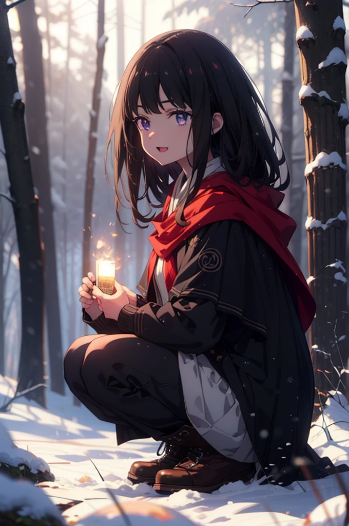 Takiuchi, Inoue Check, Long Hair, bangs, Black Hair, (Purple eyes:1.2),smile,
Open your mouth,snow, fire, Outdoor, boots, snowing, From the side, wood, suitcase, Cape, Blurred, forest,  nature, Squat,  Cape, winter, Written boundary depth, Black shoes, red Cape break looking at viewer, Upper Body, whole body, break Outdoor, forest, nature, break (masterpiece:1.2), Highest quality, High resolution, unity 8k wallpaper, (shape:0.8), (Beautiful and beautiful eyes:1.6), Highly detailed face, Perfect lighting, Highly detailed CG, (Perfect hands, Perfect Anatomy),
