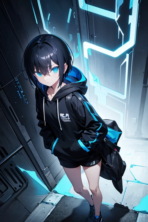Blue hoodie、short hair、Zip-up、cool、Put your hands in your pockets、The right eye is pitch black.、Left eye glows blue、Put on the hood、Glare、Black Hair、The final corridor、Black shorts、