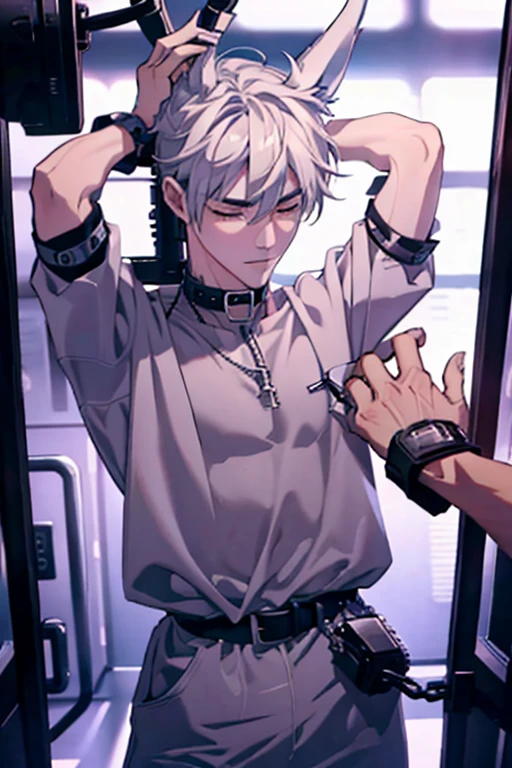 Handsome,Wolf Ears,His hands are restrained and raised above his head,belt,Her hair is short,He's in a jail cell,handcuffs,male,Wearing a collar,He's not wearing much clothing