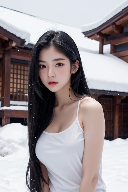 Asian、model、Black Hair、Long Hair、Big Breasts、Topless、Tight T-shirt、snow、noon