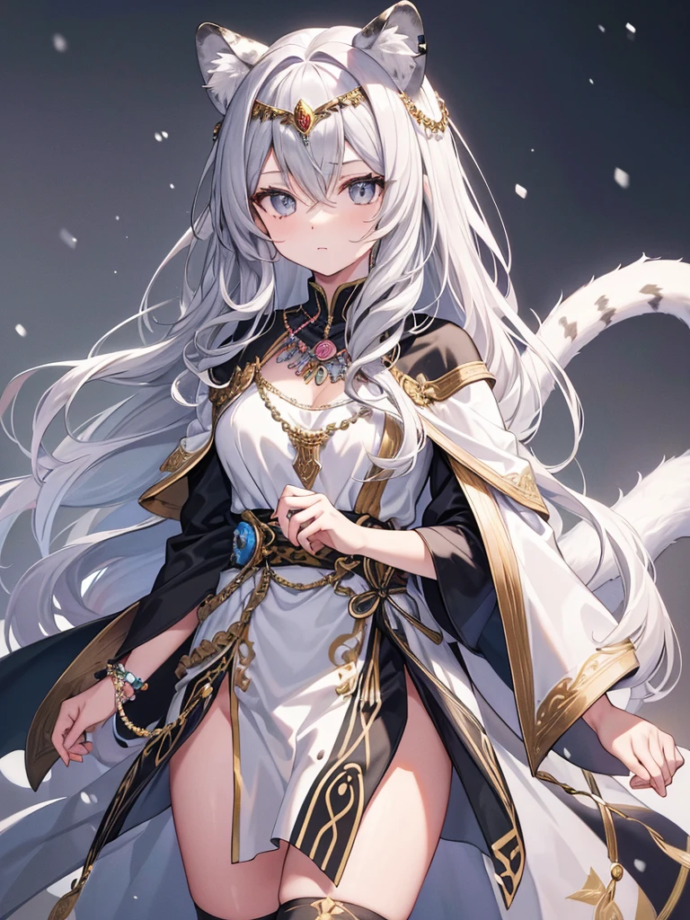 (masterpiece, Highest quality:1.2),One person, Upper Body,tail, large tail, Gray Hair, Very long hair, Wavy Hair, Grey Eyes, detailed eyes, Multicolored Hair, Circlet, Beaded Necklaces, Animal ears, Leopard Ears, Black Cape, White Dress, Hip vents, Pelvic Curtain, Grey knee socks, the snow&#39;s, the snow&#39;s mountains, Blizzard, Volumetric lighting, tered beneath the surface, Cinema Lighting, Chiaroscuro, Floating Hair, Place your hand on your chest