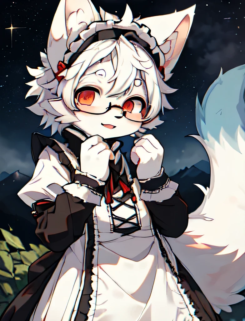 (best quality,high resolution,masterpiece:1.2),Cute teenage characters,Shota,fox,hairy,furry,White hair,Covered in hair,Beautiful and delicate red eyes,Soft white hair,Round glasses,Ears hidden away,The fur is white,Hair covers the ears,A strand of white bangs,White hair,Orc boy,Wolf ears,Wolf Tail,Long eyelashes,Facing the camera,panoramic,Stargazing,Maid costume,Blue tail tip