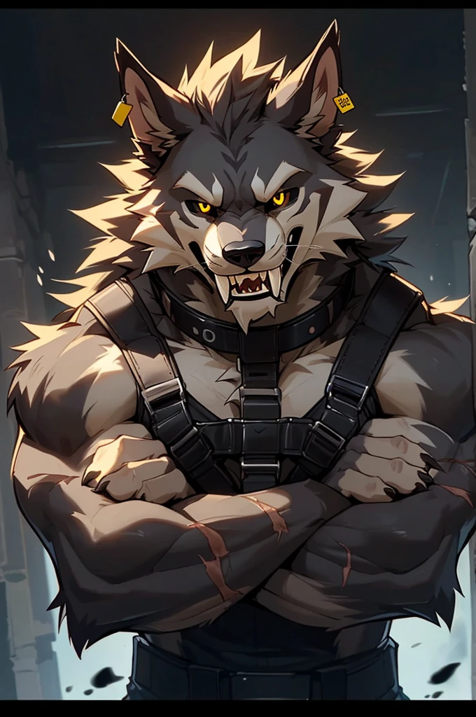 close up, upper body POV, bust portrait, furry, anthro, ((sabertooth werewolf, werewolf ears, fluffy werewolf tail)), ((dark grey and white fur)), messy fur, neck floof, scars covering body, ((black sclera, yellow pupils)), razor sharp teeth, ((giant saberteeth, long saberteeth, muscular body, handsome, sexy, feral, monsterous, intimidating, scary)), wearing a black vest, military K-9 unit tactical harness, dog collar, an ear tag and black tactical military pants, plain black background, arms crossed, ((best quality, 4K, UHD, masterpiece))