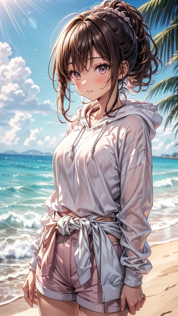 (highest quality, masterpiece, Very detailed, Very detailed, Exquisite, 16k,Full HD),(character: Anime style female and male couple),(Features: The woman has brown hair in a loose bun.、Men have brown hair tied in a ponytail、Both have dark eyes and soft smiles),(Glossy appearance,Big Breasts,Long eyelashes,Beautiful and cute eyes,White skin,slim,pale pink plump lips,Pale pink cheeks,thin and high nose,Small Nose),(clothing: Women wear bikinis with sleeves and shorts.、Wearing a hoodie around her waist,The man is wearing a T-shirt and shorts.、Active and boyish style),(background: At the beach in the sunlight、They are splashing water on each other while having fun.),(others: Bright sunlight pours down from the sky、backgroundには犬が走っている),(Low - Angle),