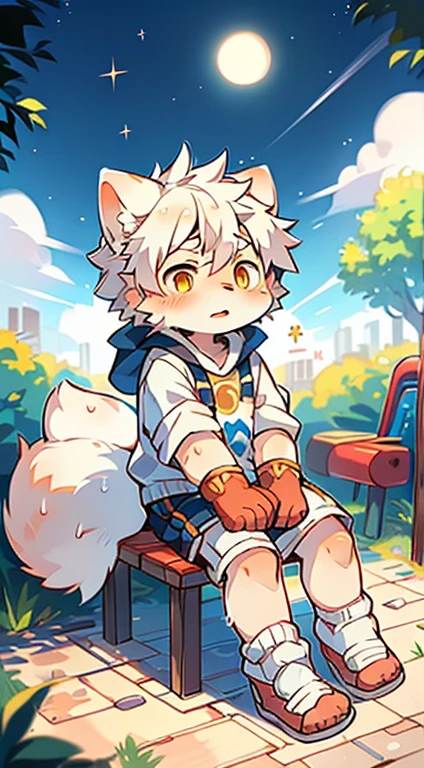 Unique,cannon,arctic fox,male,hairy,best quality,Shota,human nature,paw,hairy的尾巴,White socks,Golden Sun Rune,Lovely,sit down,Sparkling golden eyes,playground,Sweating,Looks tired,White diapers