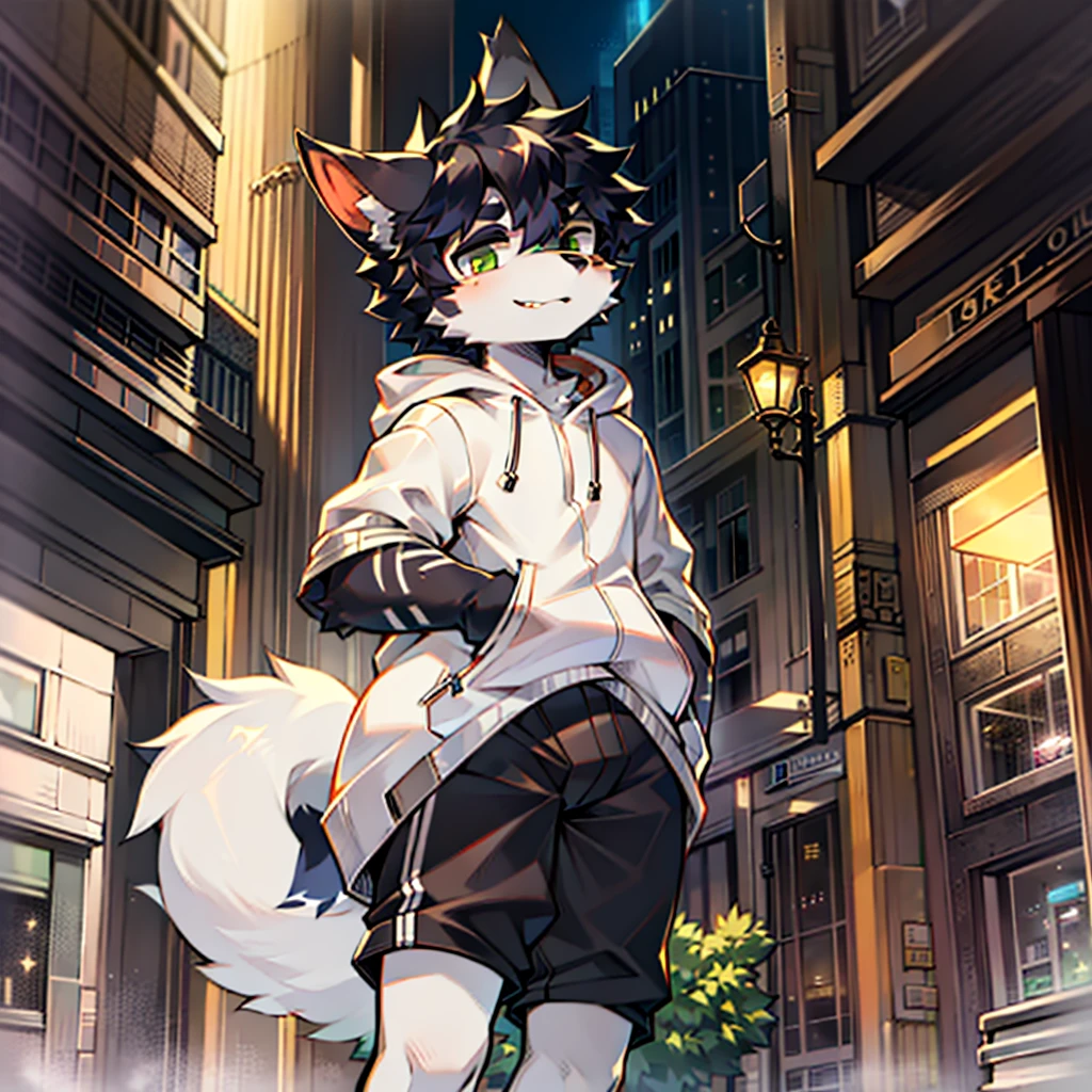 Teenage uncensored， Short gray hair， hor ears， lowerbody， downtown area， hairy pubic， coyote， Big fluffy tail， tmasterpiece， High-quality portraits， human - shaped， Lonely youth style， lewd poses， full-shot， Wolf type， White hoodies， Black  shorts， Super handsome face， Handsome， White fox， White ears， Wolf type， The barefoot，Black hair，There are green sideburns on the hair，white chest fur，Black fur，Green paws，greene eyes，There is a green angular pattern around the eyes，The height is about one meter six seven，，junior school student，ember，Black whites of the eyes，dark circles，Hand pockets