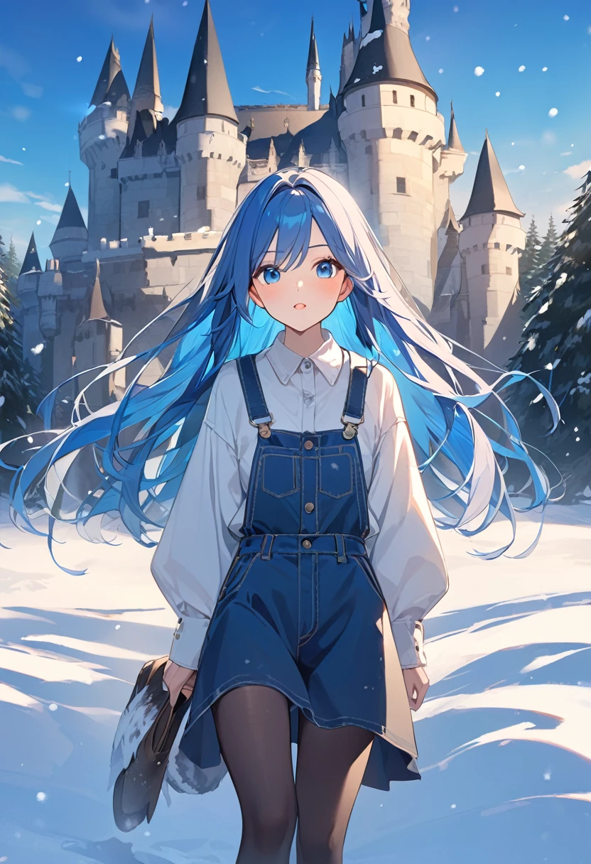 woman、Blue Hair、long hair、witch、snow、Castle、Overall blue
