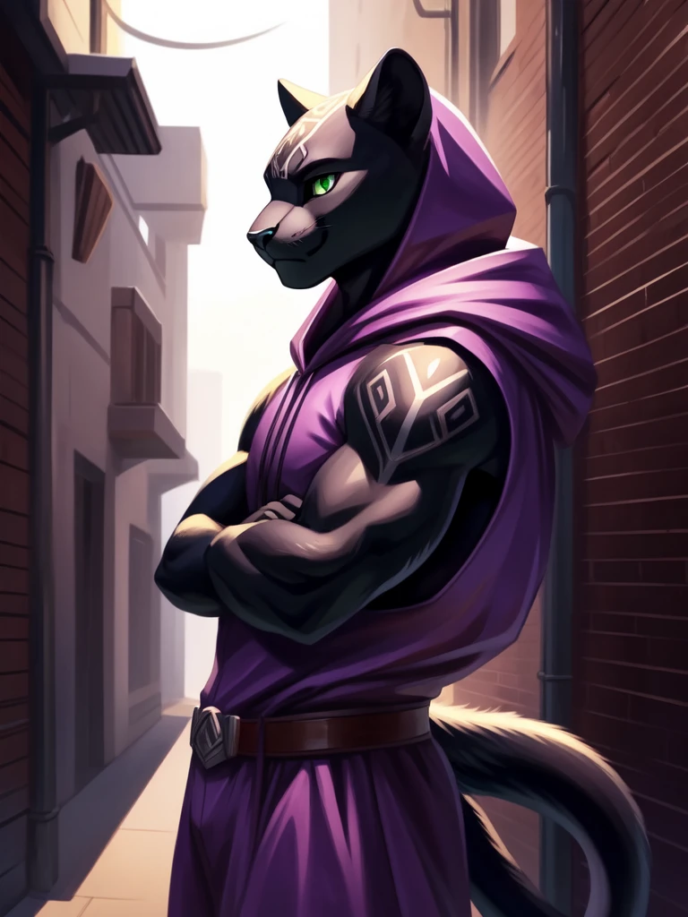 solo, anthro, furry, furry male, Black panther, ((sleek fur, furry body)), (black panther pattern), muscular body, wider shoulders, long sleek tail, bright green eyes, (black body), panther tail, standing still, arms crossed, purple clothes, rouge like apperal, hood on head, facing forward, Detailed eyes, Detailed face, Detailed character, masterpiece, HD, hideout, alley way, heavy shadows, dynamix lighting, friendly smile,