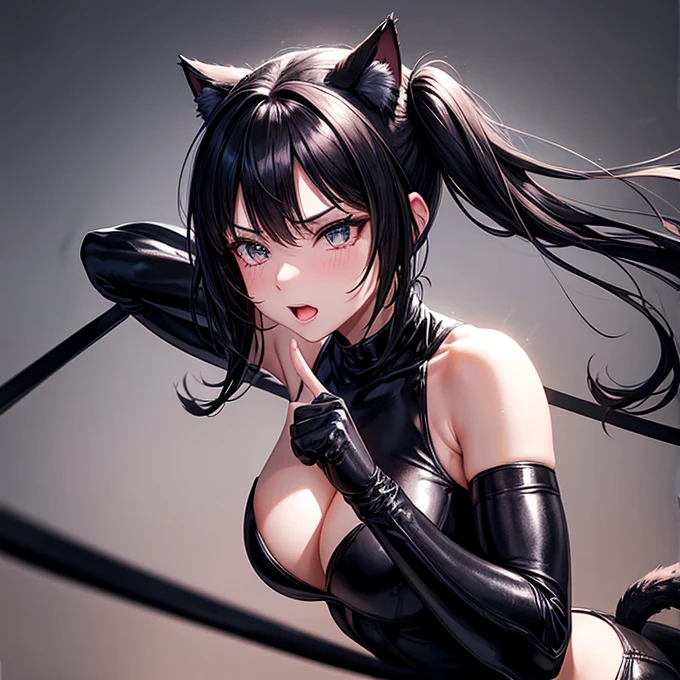 she is wearing black clothes, High Cut Bodysuit.A woman doing professional wrestling It has cat ears and a tail... Twin tails Open Finger Gloves Fighting in the ring