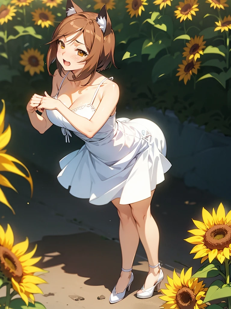 Kōsuke Fujishima style , Anime magazine pinup , clothed erotica , cat woman , wide hip , summer dress , Sunflowers are blooming , heart is beating fast with anticipation , apart melons