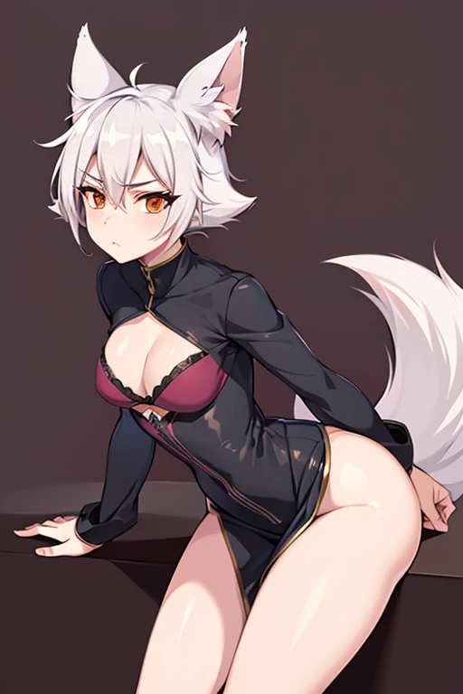 Fox-tailed zorro waifu, pirate clothing , HD