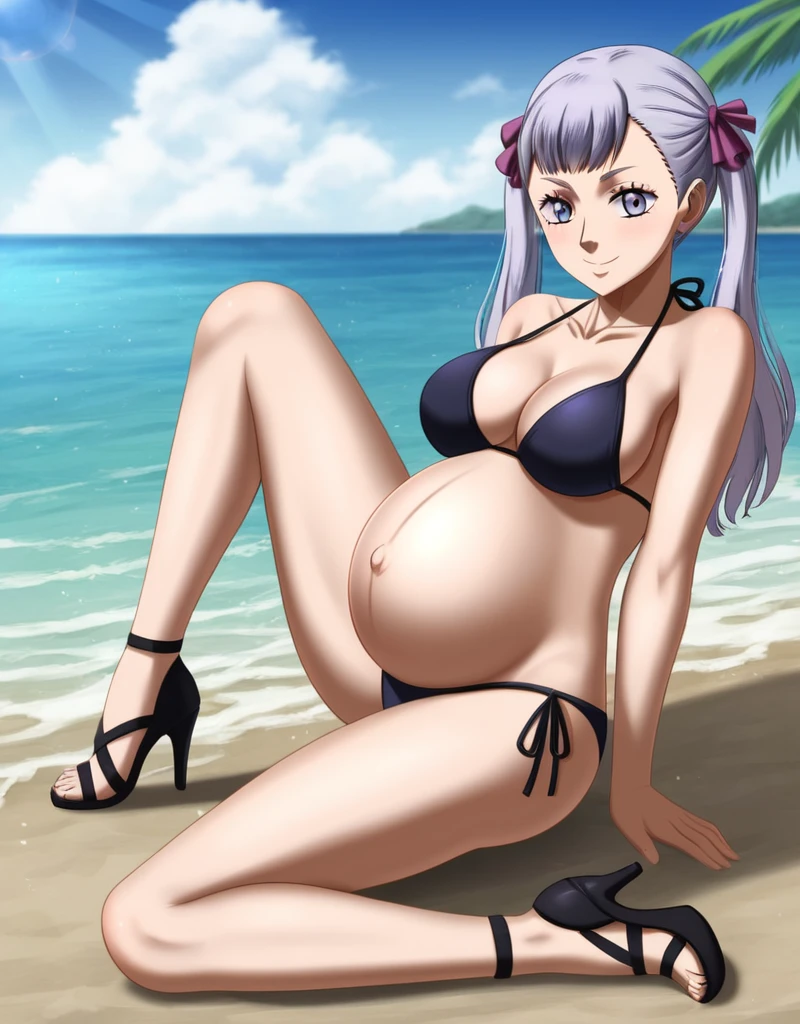 noelle_blackclover, Noelle Silva, Black Clover, long silver hair, waist-length hair, half-up half-down hairstyle, crown accessory, ribbon, soft waves, side-parted bangs, almond-shaped blue eyes, fair skin, high-quality, ultra-detailed, beast quality, 8K resolution,
looking at viewer,smile, pregnant belly, large belly, big Breasts,
1girl,solo, beach, background,
full body,(bikini, panties, Heels:1.4)