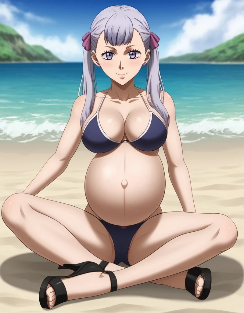 noelle_blackclover, Noelle Silva, Black Clover, long silver hair, waist-length hair, half-up half-down hairstyle, ribbon, soft waves, side-parted bangs, almond-shaped blue eyes, fair skin, high-quality, ultra-detailed, beast quality, 8K resolution,
looking at viewer,smile, pregnant belly, large belly, big Breasts, Sitting
1girl,solo, beach, background,
full body,(bikini, panties, Heels:1.4)