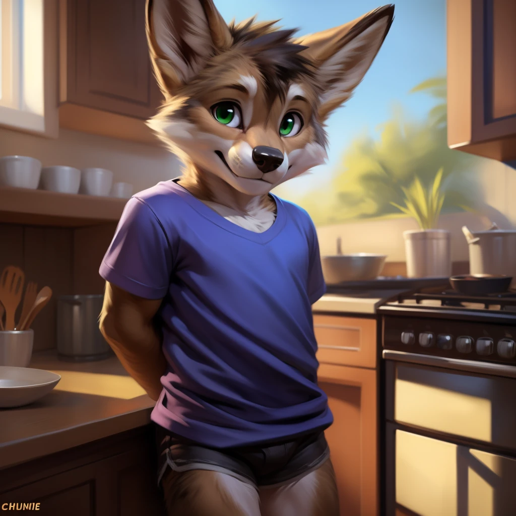 Coyote, Male, cub, Solo, baggy shirt, cut off shorts, nervous smile, shy, bashfull, hands behind back, fluffy tail, bright sunlight, young, cute, green eyes, kitchen background, , looking at viewer, toddler, (Ptorealistic, Realistic shadows, depth of field, Wide Dynamic Field, Full Body view), (by null-ghost, by Chunie, by darkgem)