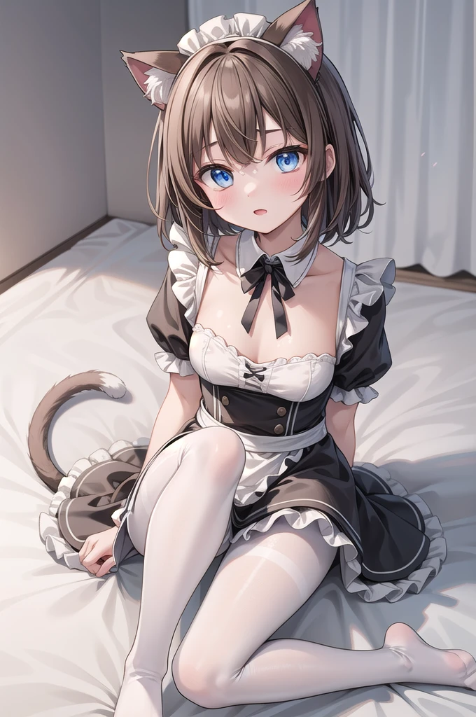 Solo Girl, 20-year-old,Medium Hair, Light brown hair, Brown eyes, Mid-chest, highest quality, High resolution, Very detailed, Detailed Background, Perfect lighting、Sitting on the floor with legs spread、Extreme maid outfit、very cute, Blue eyes, a pair of cat ears, Flush, white silk stockings, pink underwear, lace