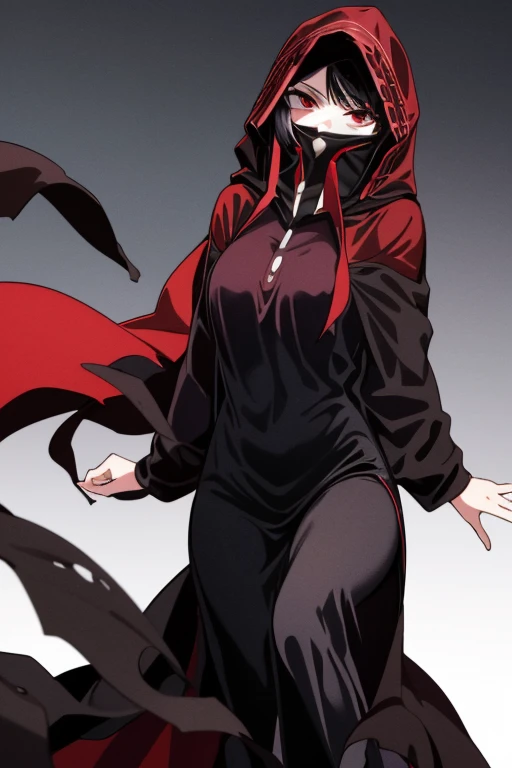 NNAssassinFSF, 1girl, solo, median breasts, black hair, red eyes, long cape sleeves, sleeves covered hands, no hands, dress, long cape, cape, black cloak, hood up, black robe, covered mouth, hooded cloak, ((masterpiece, best quality)) room, spinning
