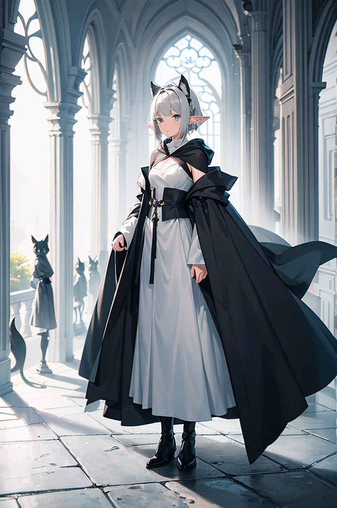 Gray and white shoulder-length short hair,Girl,Facing away from the camera,Elf ears,No headdress,No cat ears,Wear a magician's robe,cloak,hood,Long skirt,Boots,full-body shot,Back,Back photo,Don't face,No background,One-handed sword,Do not take a frontal photo,Leave,leave