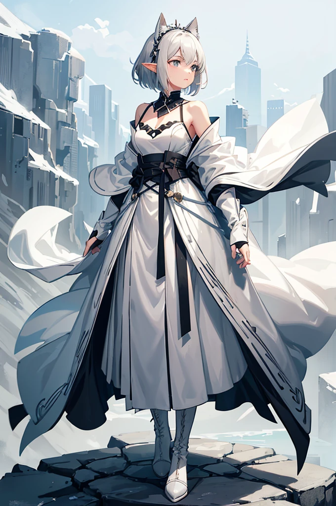 Gray and white shoulder-length short hair，Girl，Facing away from the camera，Elf ears，No headdress，No cat ears，Wear a magician's robe，cloak，hood，Long skirt，Boots，full-body shot，Back，Back photo，Don&#39;t face，No background，Do not take a frontal photo，Leave，leave