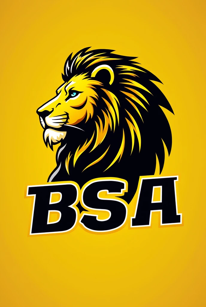 create a tag name " BSBA " then used a algerian font with a drawing lion with color yellow and black combination make it more realistic becasuse its a" logo" and put it in a jersey yellow shirt
