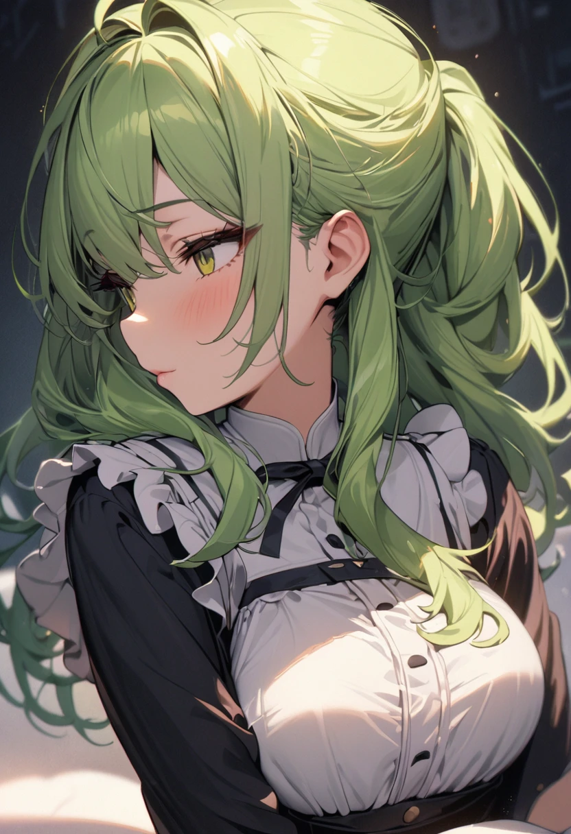 (solo:2, 15 yo), (Strong beautiful girl) (detailed ponytail) (beautiful green hair long hair) (wink style, best cute yellow eye and sexy closed eye), (glossy lip, Stick tongue up side out), (medium tits), in a detailed maid uniform), break, background white, BREAK, perfect anatomy, masterpiece, best quality, beautiful detailed 8-bit pixel, daydreaming expression.