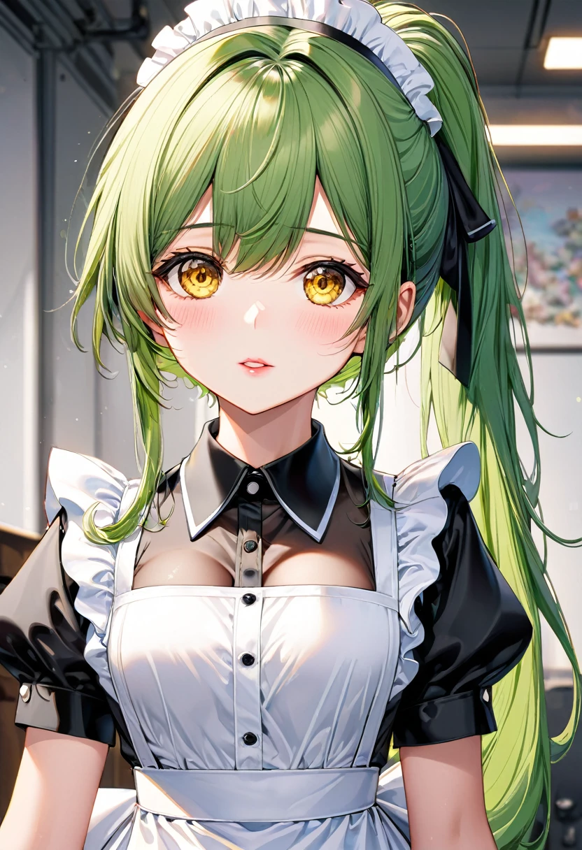 ((tehepero style)), (solo:2, 15 yo), (Strong beautiful girl) (detailed ponytail) (beautiful green hair long hair) (best cute yellow eyes), (glossy lip), (medium tits), (in a detailed maid uniform), break, background white, BREAK, perfect anatomy, masterpiece, best quality, beautiful detailed 8-bit pixel, daydreaming expression.