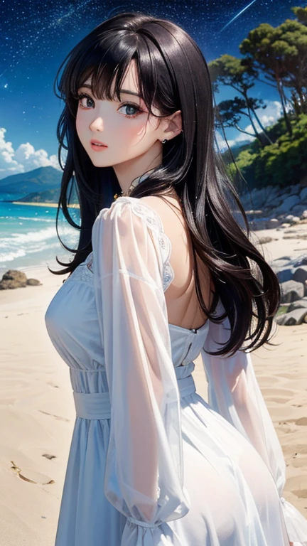 (masterpiece,Highest quality,,8k,High resolution),One female,,Beautiful Face,Beautiful Face,Beautiful eyes,Beautiful lips,,Black Hair,look back,,flower,Sandy beach with a view of the forest,A bright night with stars visible,jewelry,Holding,Long sleeve,necklace,Long Hair,dress,(whole body),Highly detailed anime art,
