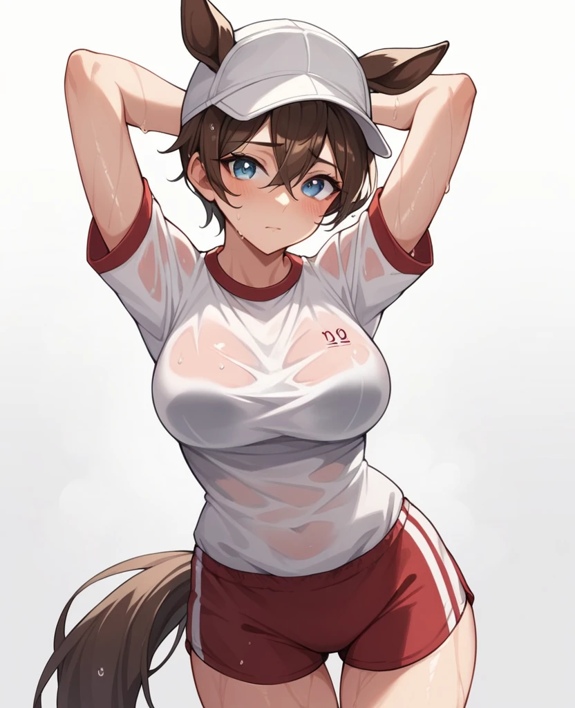 1girl, solo, breasts, looking at viewer, blush, blue eyes, simple background, brown hair, shirt, hat, white background, animal ears, hair between eyes, closed mouth, tail, white shirt, short sleeves, shorts, armpits, arms up, wet, white headwear, horse ears, horse girl, arms behind head, horse tail, gym uniform, wet shirt, red shorts, tracen training uniform