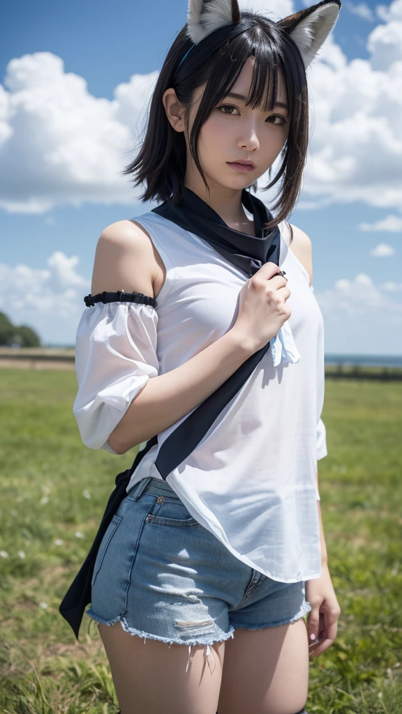 masterpiece、Highest quality、High resolution、One person、solo、Cowboy Shot、Grass、null、cloud、Shirakami Fubuki、fubuki_base、White blouse、Removable sleeves、Black shorts、Blue neckerchief、Thigh straps、Single Thigh High、Gray Hair、One-sided braiding、Ahoge、Fox ears、Fox's Tail、Fox silhouette、Hands on hips、smile