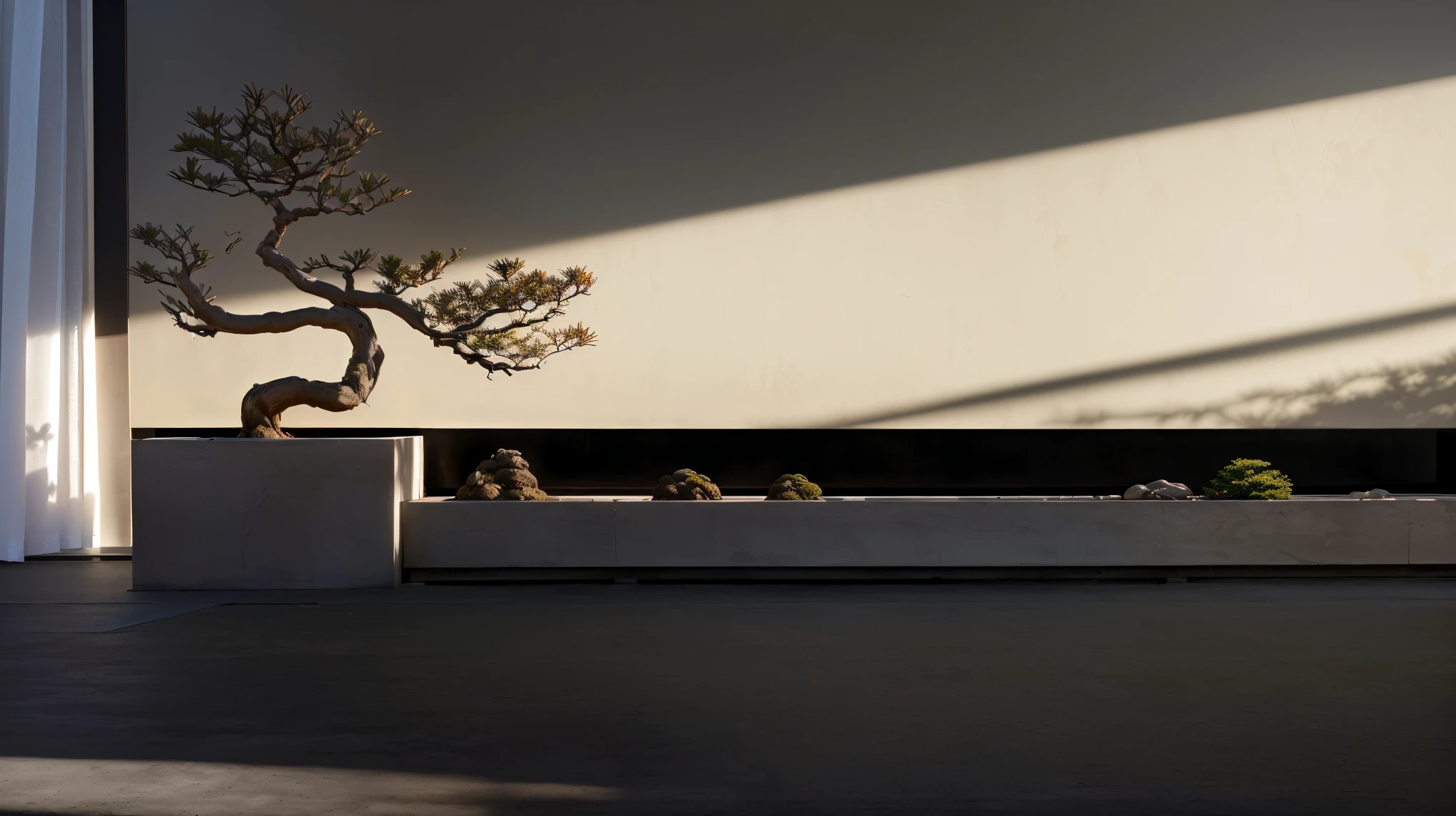 There is a bonsai tree in a pot in the room, bonsai tree on roof, trees cast shadow on the wall, shadow. Asian Landscape, Is transparent, Zen temple background, Shot with Sony a7r camera, Inspired by Sōami, Shot with Leica SL2, Long, minimalistic architecture, Inspired by Ando's Sea Moon Hall