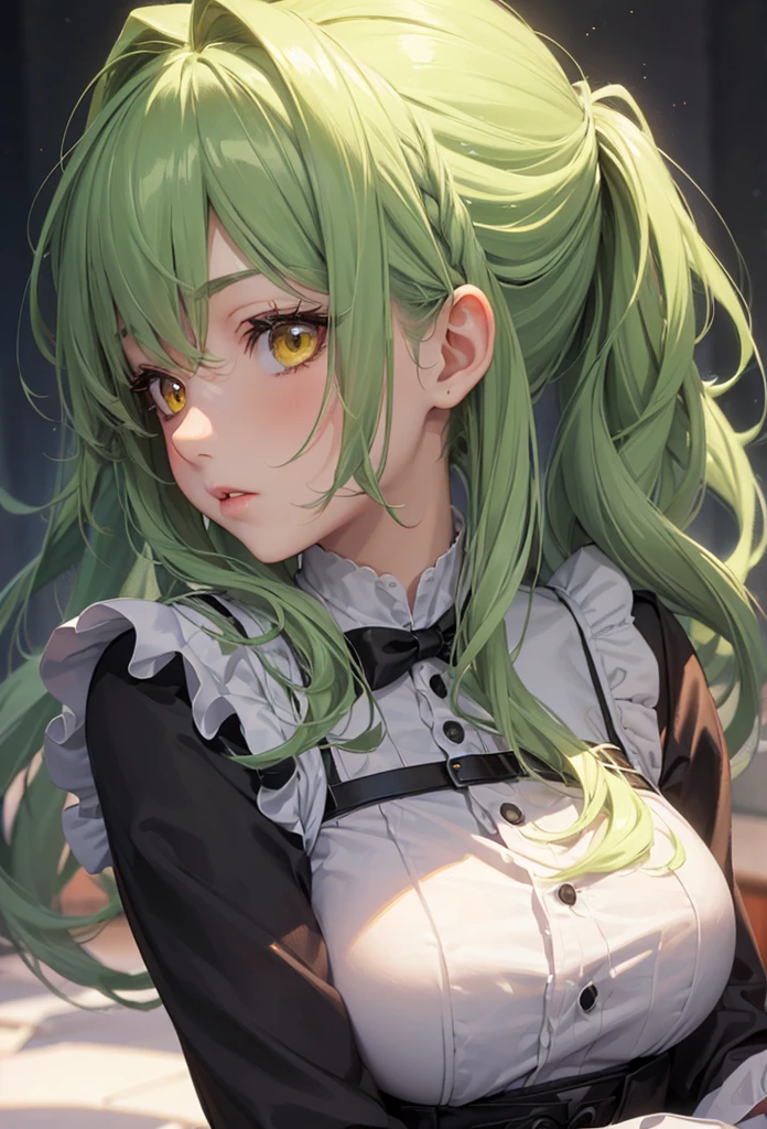 ((tehepero style)), (solo:2, 15 yo), (Strong beautiful girl) (detailed ponytail) (beautiful green hair long hair) (best cute yellow eyes), (glossy lip), (medium tits), (in a detailed maid uniform), break, background white, BREAK, perfect anatomy, masterpiece, best quality, beautiful detailed 8-bit pixel, daydreaming expression.