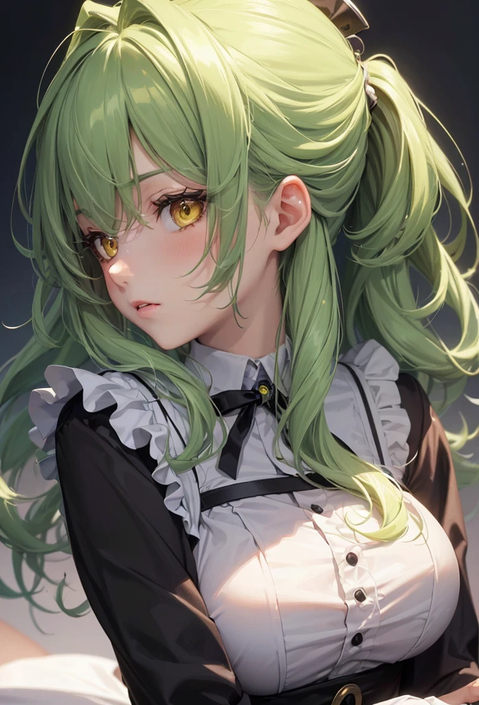 ((tehepero style)), (solo:2, 15 yo), (Strong beautiful girl) (detailed ponytail) (beautiful green hair long hair) (best cute yellow eyes), (glossy lip), (medium tits), (in a detailed maid uniform), break, background white, BREAK, perfect anatomy, masterpiece, best quality, beautiful detailed 8-bit pixel, daydreaming expression.