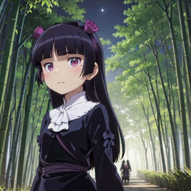 Standing in the bamboo forest, Moonlight shines in, Silence and mysticism, (ruri gokou), , alone, Hime cut, Long Hair, Gothic Lolita, Data Fashion, head band,