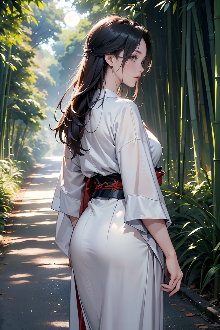 Bamboo Forest, ((masterpiece, highest quality, Highest image quality, High resolution, photorealistic, Raw photo, 8K, Extremely detailed CG unified 8k wallpaper)), A straight road between bamboo groves, lanterns illuminating the ground, a full moon at midnight, and the back view of a woman wearing a Japanese kimono standing in the middle of the road,