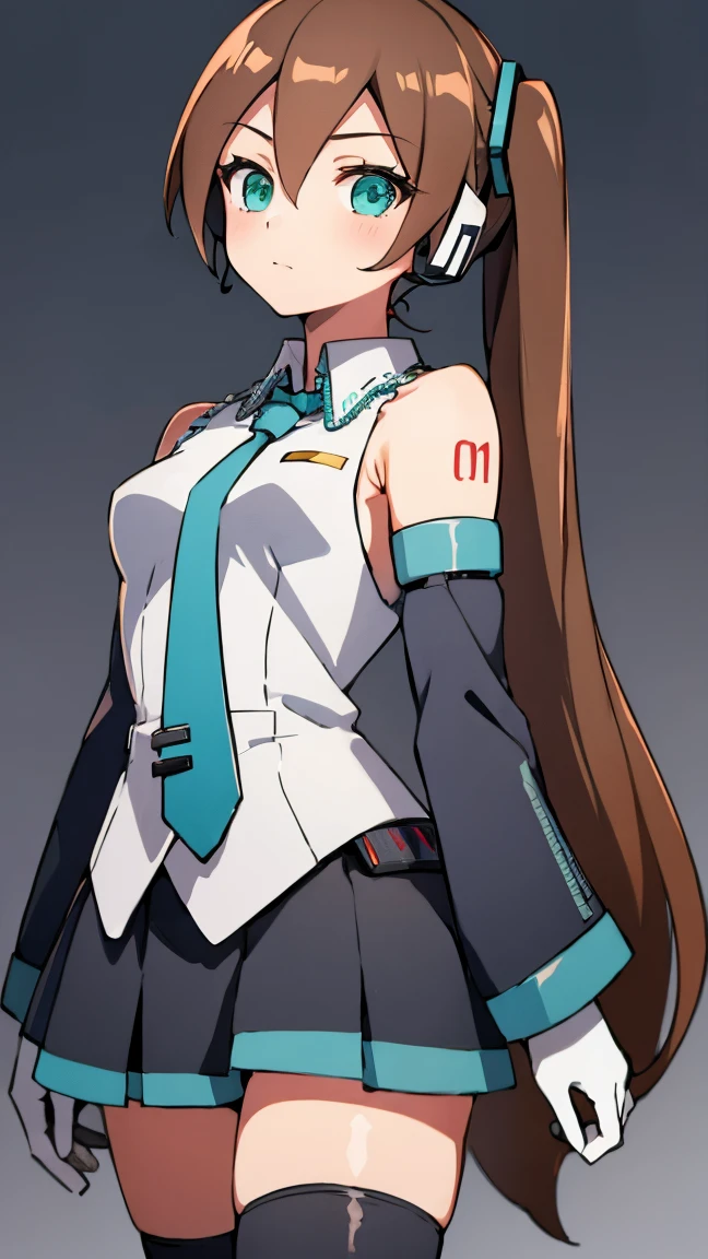 Aile_Megmanzx , 1girl, Simple background, Long hair,  Green eyes, Brown hair, Hatsune Miku Cosplay