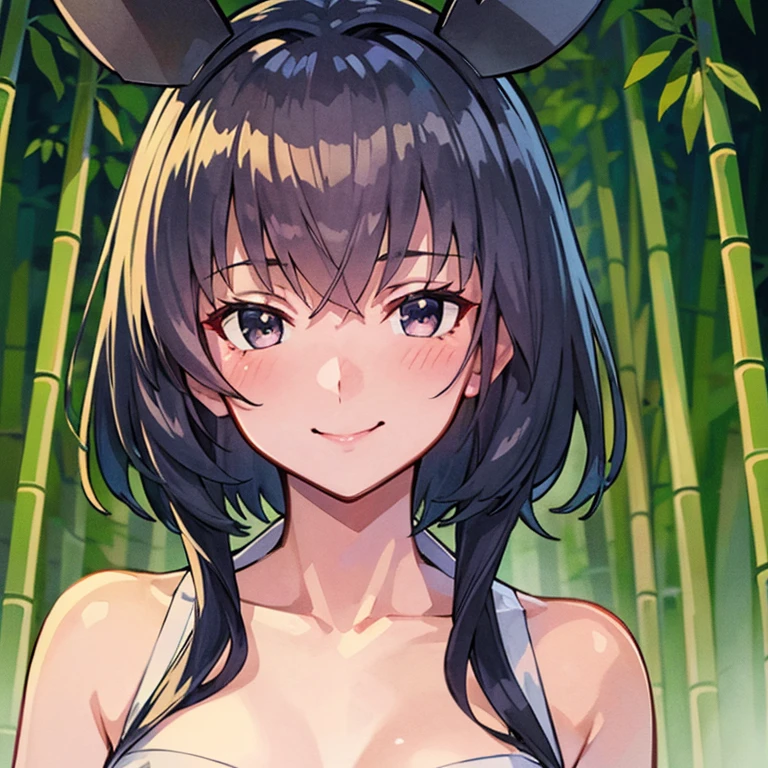 ((masterpiece)), ((best quality)), illustration, One girl, Hair color, Bangs, Hairstyle fax, Portrait from waist up, Nude, Hide body with towel, Women, Cat ears, Light green long hair, Gray eyes, Ponytail, Dull bangs, smile, Japan traditional inn, Japan hot springs