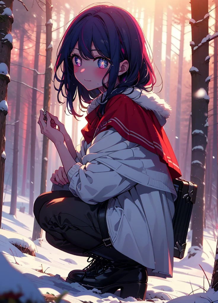 aihoshino, Ai Hoshino, Long Hair, bangs, (Purple eyes:1.1), Purple Hair, (Symbol-shaped pupil:1.5), smile,,smile,blush,white breath,
Open your mouth,snow,Ground bonfire, Outdoor, boots, snowing, From the side, wood, suitcase, Cape, Blurred, , forest, White handbag, nature, Squat, Mouth closed, Cape, winter, Written boundary depth, Black shoes, red Cape break looking at viewer, Upper Body, whole body, break Outdoor, forest, nature, break (masterpiece:1.2), Highest quality, High resolution, unity 8k wallpaper, (shape:0.8), (Beautiful and beautiful eyes:1.6), Highly detailed face, Perfect lighting, Extremely detailed CG, (Perfect hands, Perfect Anatomy),