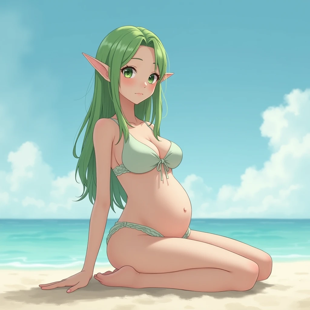 Anime Style　Nordic style　White muscle　Young face　low length　Big Breasts　Last month of pregnancy　Elf　Pale green　Ultra-thin fabric　negligee　sky　Starry Sky　beach　Leg spread　Sitting sideways
