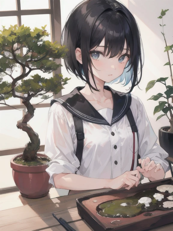 1 girl. short black hair. looking at a bonsai.