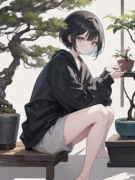 1 girl.  short black hair. looking at a bonsai.