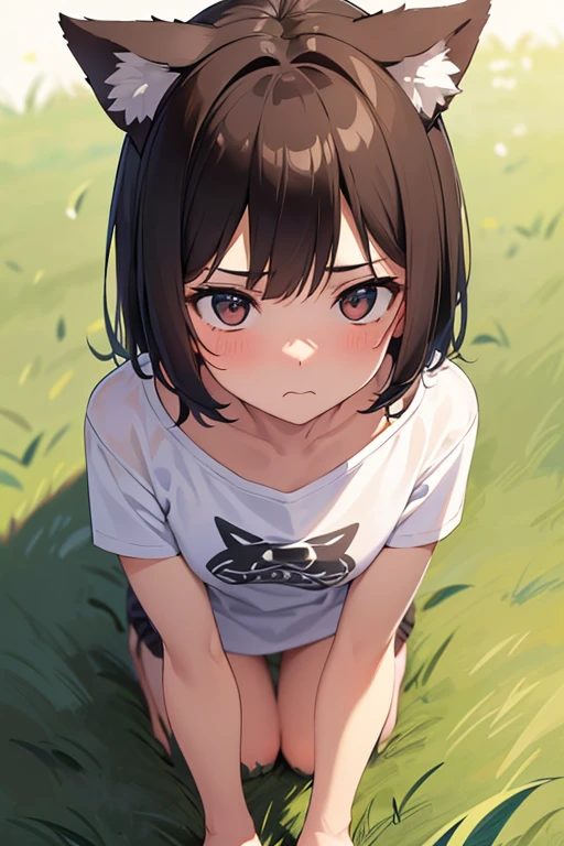 ,smile,On all fours,Yandere's Eye,1 ,boyish.Two-block shorthair,Black Hair,blush,White T-shirt,Olive green shorts,Brown Sandals,White skin,summer,From below,shy,