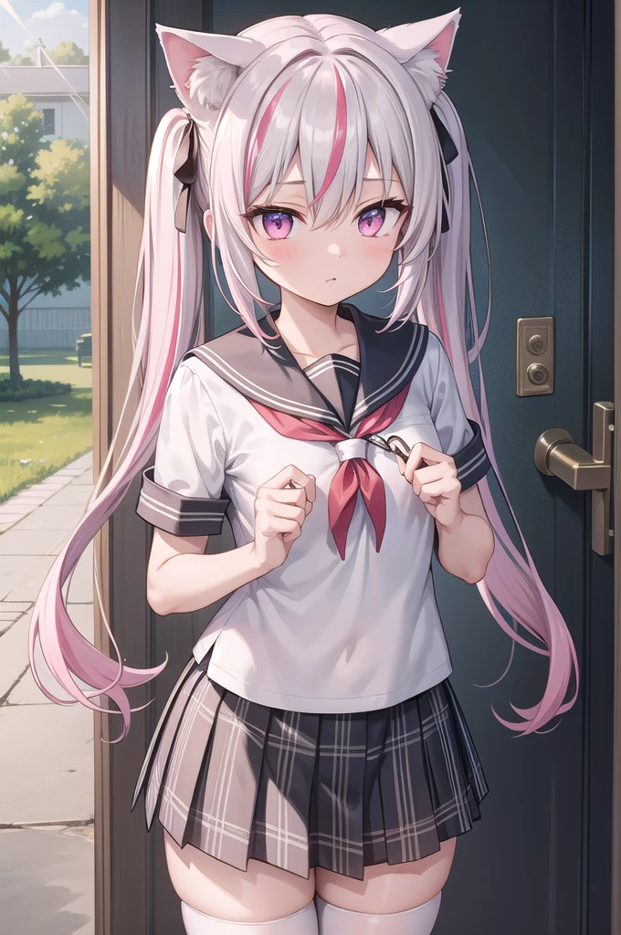 1girl, cat girl, Cat ears, grey hair, streaked hair, pink hair, long hair, hair between eyes, twintails, sailor collar,
highly_detailed, Beautiful eyes, extremely_detailed_CG_unity_8k_wallpaper, highres, absurdres, beautiful_detailed_eyes, finely_detailed_clothing, finely_detailed_light, highly_detail_hair_,
colorful, light rays, caustics, aistics, lens flare, bokeh, nsfw, A small chest, pink eyes, White silk stockings, JK Uniform Plaid Skirt, school uniform, Light pink mini skirt, ruffle, blush,
score_anime, score_9, score_8_up, masterpiece, beautiful scenery, illustration,
