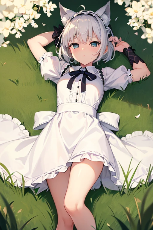 One Girl cute Petite breasts are slightly larger The legs are very thin Wolf ears White shorthair ta dress (((The background is inside the grass.))) Lying on your back Place your hands behind your head. Embarrassed face