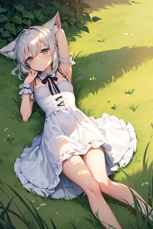 One Girl　cute　Petite　breasts are slightly larger　The legs are very thin　Wolf ears　White shorthair　lolita dress　　(((The background is inside the grass.)))　Lying on your back　Place your hands behind your head.　Embarrassed face