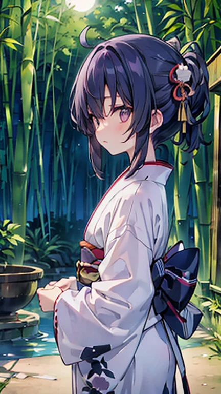 Bamboo Forest,Moonlight, woman in kimono