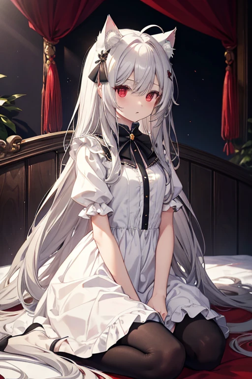 One person, solo, Long Hair, High resolution, chest, とてもLong Hair, Gray Hair, Ahoge, High resolution, masterpiece, Highest quality, Simple Background, Red eyes, Cat ear hood、Open your mouth a little, Gothic-style interior、White dress、noble、Lady、sit on a canopy bed