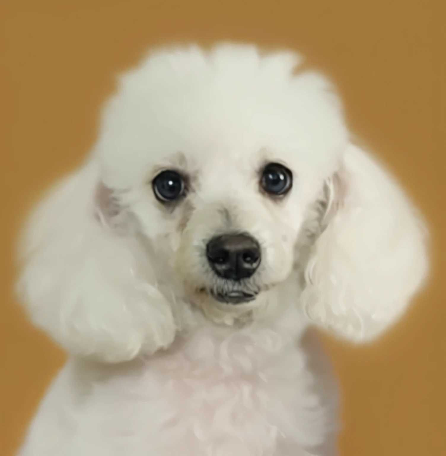 a very cute furry dog, hairs drawn like cartoon, perfectly drawn eyes, eyes like a cartoon drawing, beautiful eyes, perfect eyes, she is very happy, she is smiling, the image is very detailed