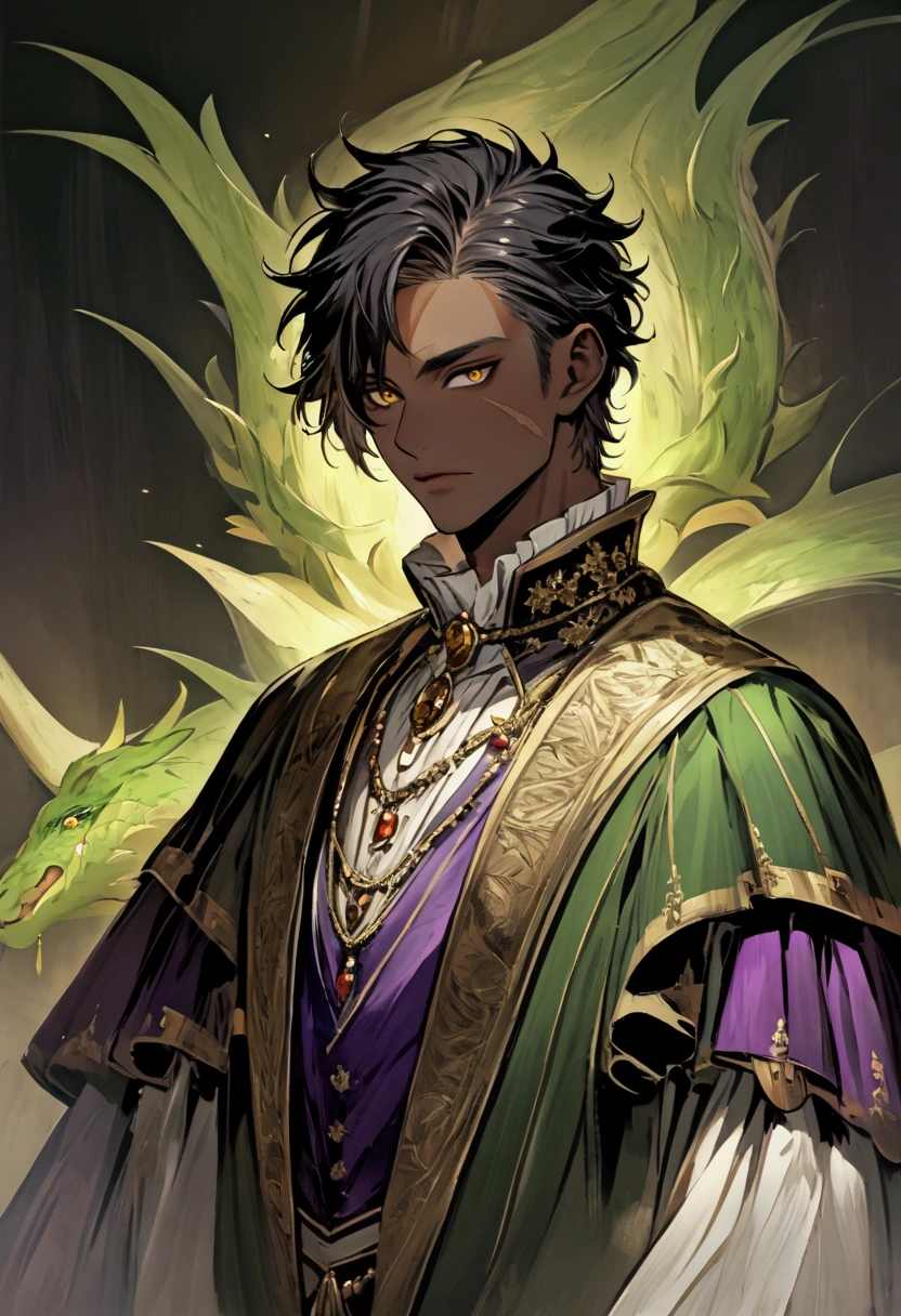 Male, Black hair with purple tips short messy, royal clothes, dark skin with a scar from the cheek to near the right eye, golden eyes.  wears a necklace that looks very much like a green dragon's eye